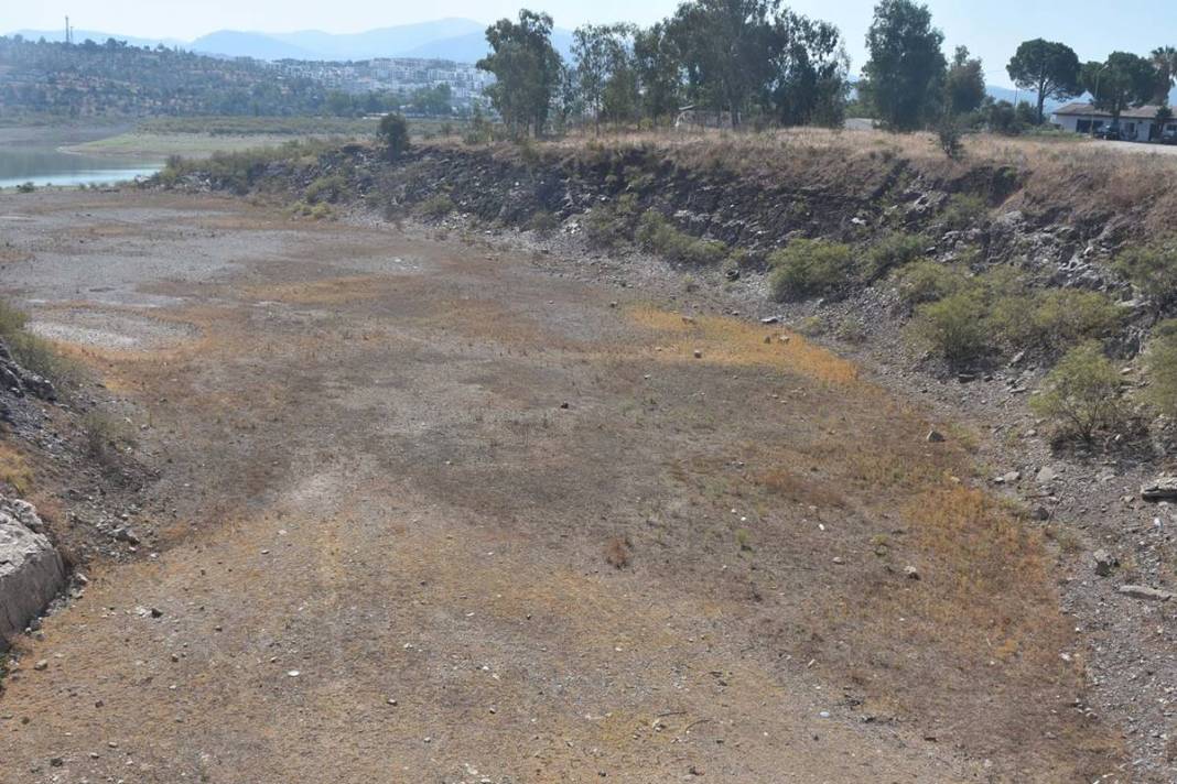 Ülkenin dört yanı diken üstünde! Felaket, Bodrum'a sıçradı: Musluk suyuna bulaşmış 6